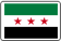 International Presence For Syria